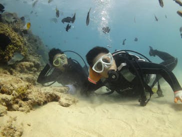 ドロップイン 沖縄に投稿された画像（2019/10/17）