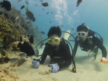 ドロップイン 沖縄に投稿された画像（2019/10/17）