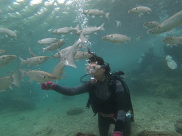 DIVING-SHOP SUNSに投稿された画像（2019/10/17）