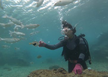 DIVING-SHOP SUNSに投稿された画像（2019/10/17）