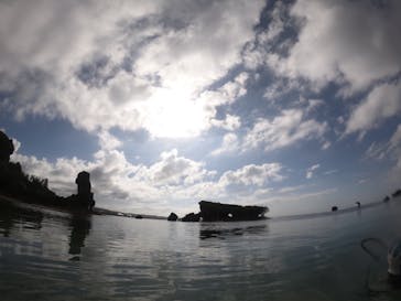 武藤潜水に投稿された画像（2019/10/18）