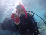 ダイビングショップ Sea Free（シーフリー）に投稿された画像（2019/10/18）