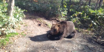 サホロリゾート　ベア･マウンテンに投稿された画像（2019/10/19）