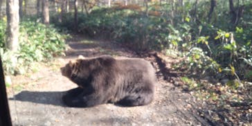 サホロリゾート　ベア･マウンテンに投稿された画像（2019/10/19）