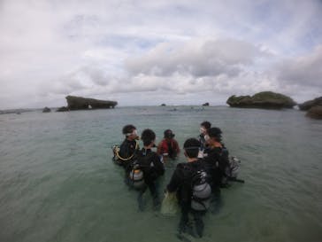 武藤潜水に投稿された画像（2019/10/19）