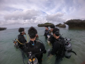 武藤潜水に投稿された画像（2019/10/19）