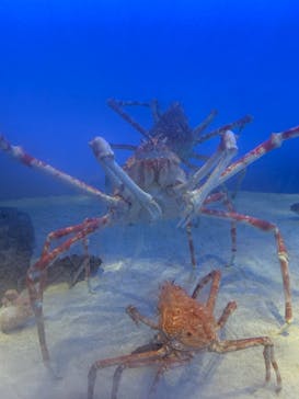 鳥羽水族館に投稿された画像（2019/10/20）