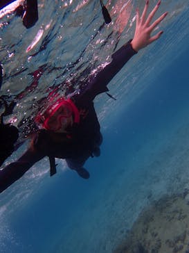 ダイビングショップ Sea Free（シーフリー）に投稿された画像（2019/10/20）