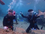 ダイビングショップ Sea Free（シーフリー）に投稿された画像（2019/10/20）