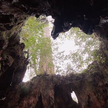 Yamakara屋久島に投稿された画像（2019/10/15）