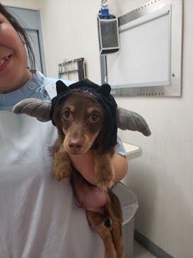 竜泉寺の湯 草加谷塚店に投稿された画像（2019/10/20）