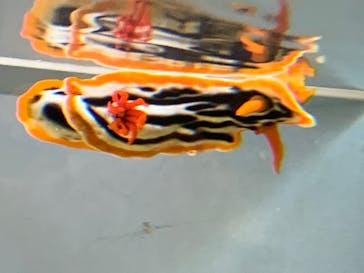 海遊館に投稿された画像（2019/10/20）