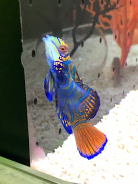 海遊館に投稿された画像（2019/10/20）