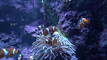 サンシャイン水族館に投稿された画像（2019/10/20）