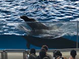 アクアワールド茨城県大洗水族館に投稿された画像（2019/10/20）