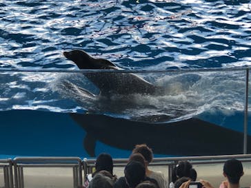 アクアワールド茨城県大洗水族館に投稿された画像（2019/10/20）