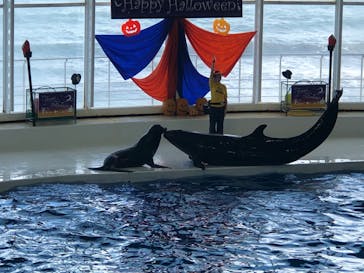 アクアワールド茨城県大洗水族館に投稿された画像（2019/10/20）