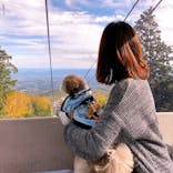 マウントジーンズ那須に投稿された画像（2019/10/21）