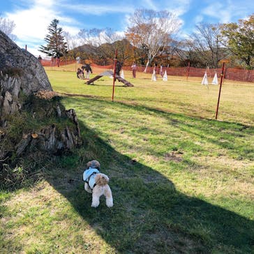 マウントジーンズ那須に投稿された画像（2019/10/21）