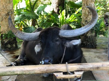 ビオスの丘に投稿された画像（2019/10/21）