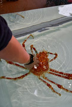 アクアワールド茨城県大洗水族館に投稿された画像（2019/10/21）