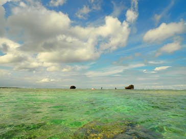 ダイビングショップ Sea Free（シーフリー）に投稿された画像（2019/10/22）