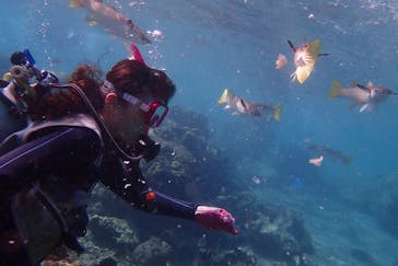 ダイビングショップ Sea Free（シーフリー）に投稿された画像（2019/10/22）