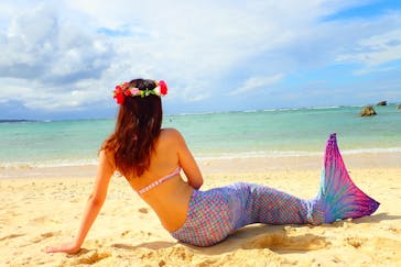 ダイビングショップ Sea Free（シーフリー）に投稿された画像（2019/10/22）