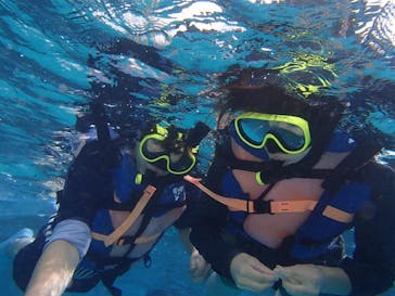 Sea World（シーワールド）に投稿された画像（2019/10/22）