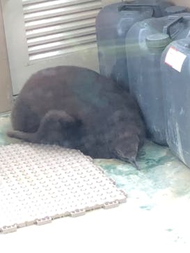 下田海中水族館に投稿された画像（2019/10/22）