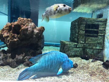 NIFREL（ニフレル）に投稿された画像（2019/10/22）