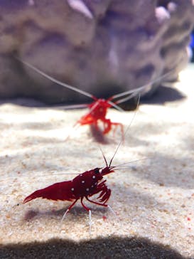 NIFREL（ニフレル）に投稿された画像（2019/10/22）