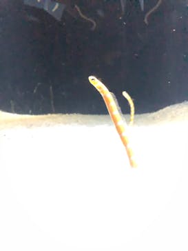 NIFREL（ニフレル）に投稿された画像（2019/10/22）