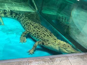 NIFREL（ニフレル）に投稿された画像（2019/10/22）