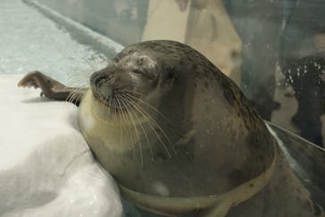 海遊館に投稿された画像（2019/10/22）