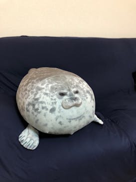 海遊館に投稿された画像（2019/10/22）