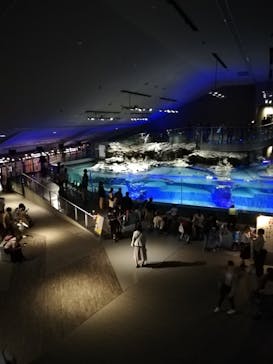 すみだ水族館に投稿された画像（2019/10/23）