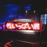 サンシャイン水族館に投稿された画像（2019/10/23）