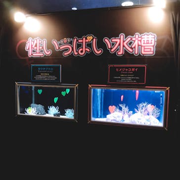 サンシャイン水族館に投稿された画像（2019/10/23）