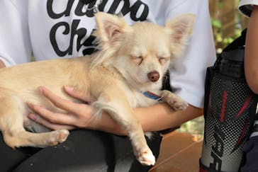 しろとり動物園に投稿された画像（2019/10/23）