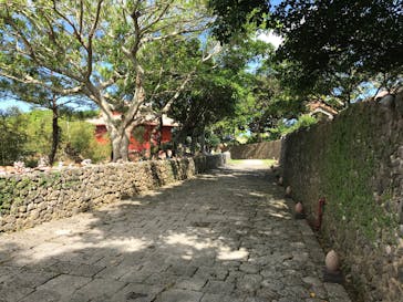 体験王国 むら咲むらに投稿された画像（2019/10/23）