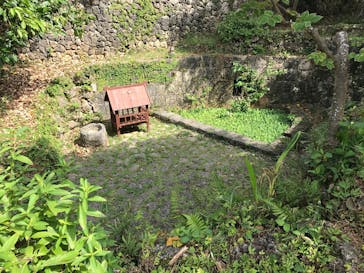 体験王国 むら咲むらに投稿された画像（2019/10/23）