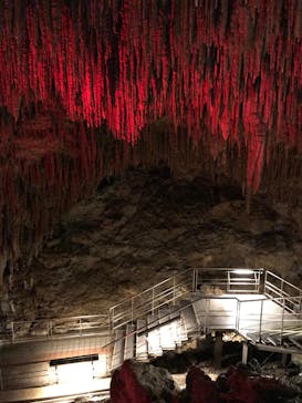 おきなわワールドに投稿された画像（2019/10/23）