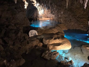 おきなわワールドに投稿された画像（2019/10/23）