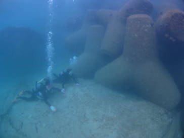 ドロップイン 沖縄に投稿された画像（2019/10/23）