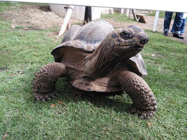 神戸どうぶつ王国に投稿された画像（2019/10/23）