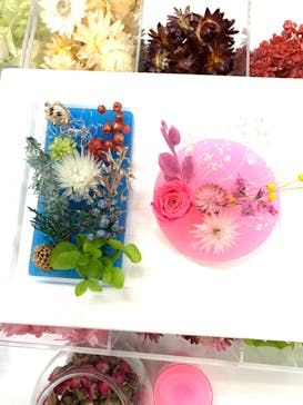 ずこうしつ〜sugamo〜に投稿された画像（2019/10/24）