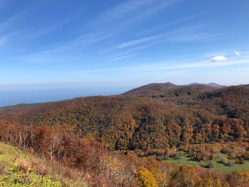 函館七飯 ゴンドラに投稿された画像（2019/10/25）
