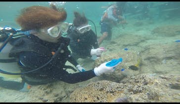 武藤潜水に投稿された画像（2019/10/25）