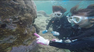 武藤潜水に投稿された画像（2019/10/25）